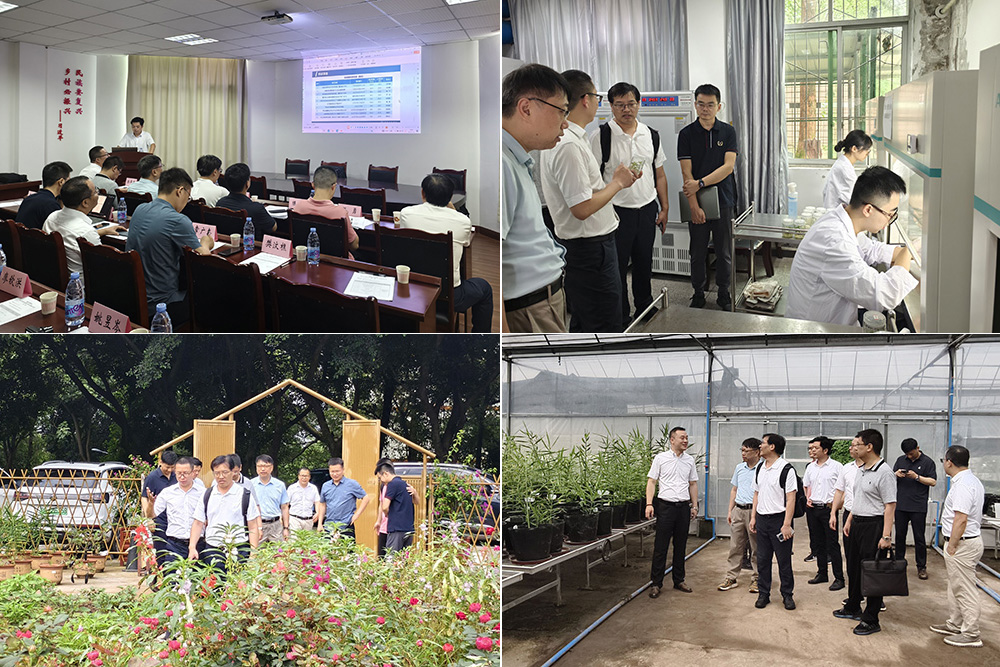ofbl_1721209584636089588.jpg 未标题-1.jpg