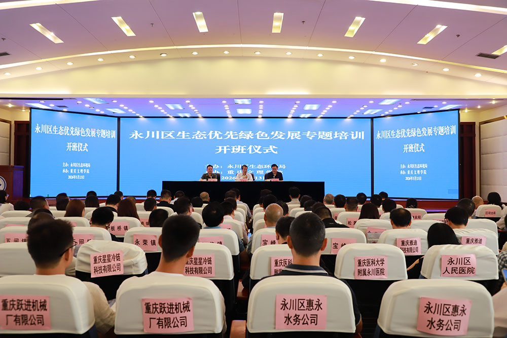 Dino_1779097962523082547.jpg IMG_3128(封面图裁剪).jpg